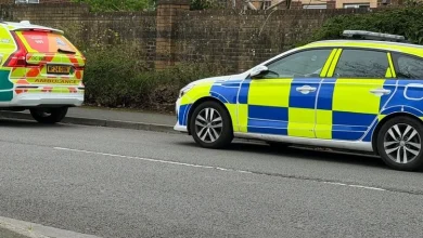 'Sudden' death in quiet Bristol neighbourhood