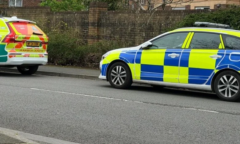 'Sudden' death in quiet Bristol neighbourhood