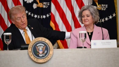 Susie Wiles, White House chief and top Trump aide, has breast cancer