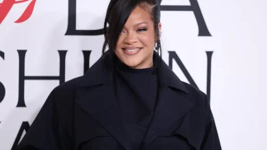 Suspect in Rihanna's Beverly Hills home shooting held on $10 million bail