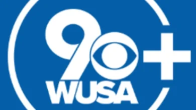 Suspect in deadly Beltway stabbing killed his own dog, police say - WUSA9