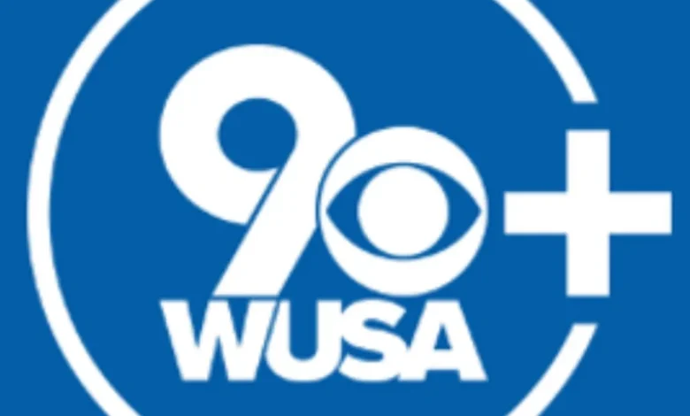 Suspect in deadly Beltway stabbing killed his own dog, police say - WUSA9