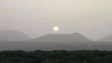 THURSDAY WEATHER: Cloud and light calima forecast for the Canary Islands