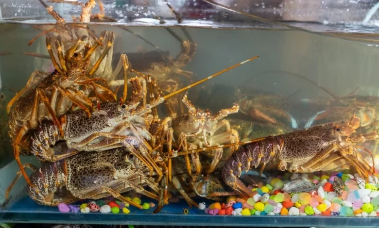 Tech Employees Are Reportedly Being Evaluated by How Fast They Burn Through LLM Tokens