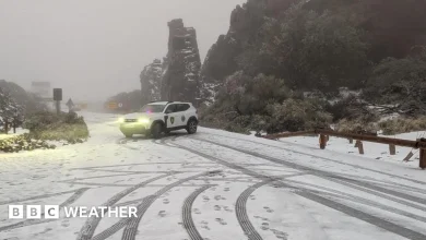 Tenerife hit by snow as Storm Therese brings wind and rain to Canary Islands