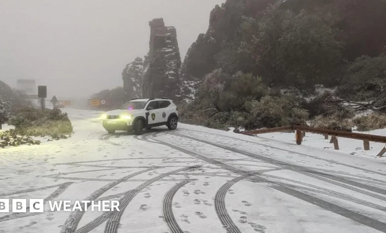 Tenerife hit by snow as Storm Therese brings wind and rain to Canary Islands
