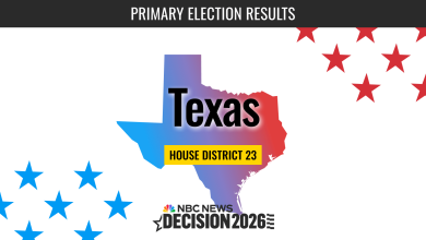 Texas House District 23 Primary Election Live Results 2026