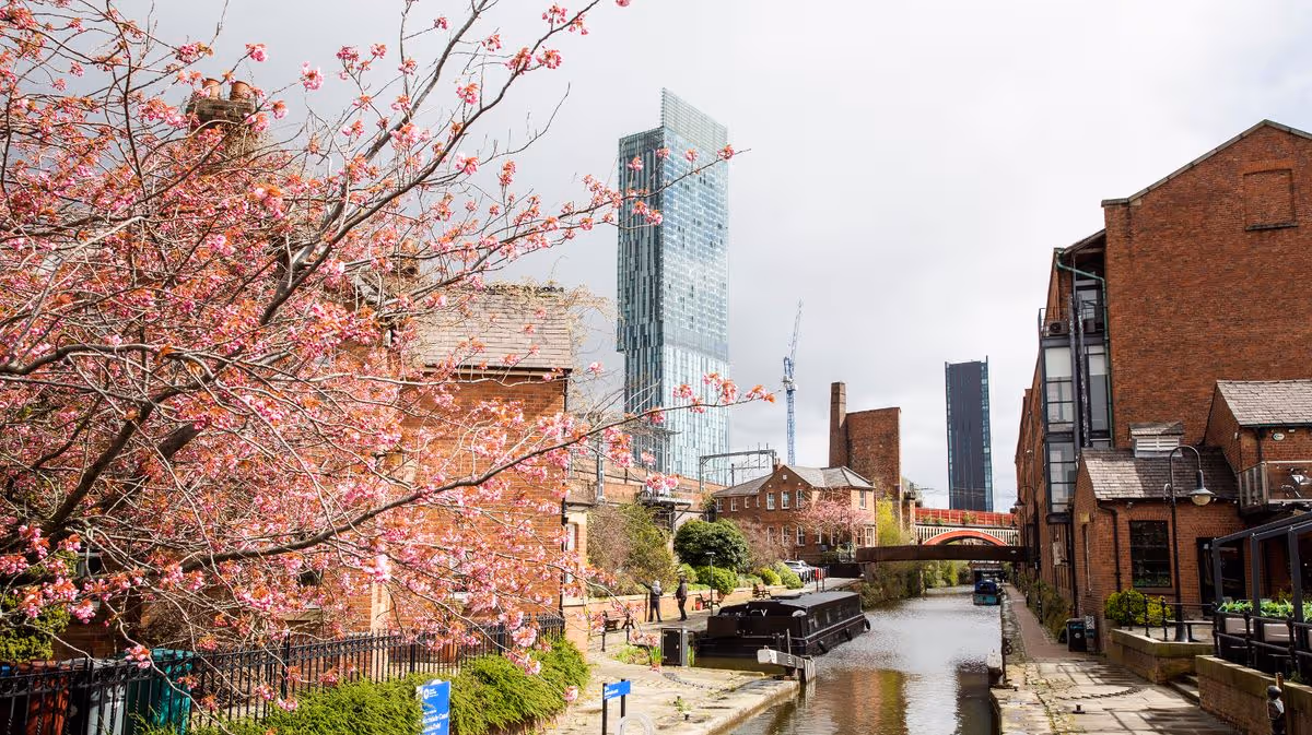 The 50 stunning locations you can spot blossom in Greater Manchester this spring