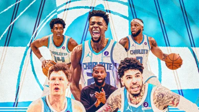 The Charlotte Hornets Are Buzzing—and the NBA Can’t Stop Them