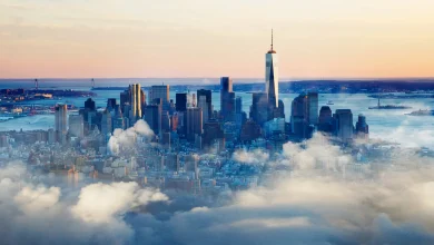 The Current Market Rotation—One Of The Biggest Disruptions In Generations - Seeking Alpha