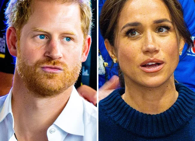 The Internet Reacts To News That Prince Harry And Meghan Markle Are Working On A Polo-Inspired Scripted Drama With Netflix Amid Recent Fallout