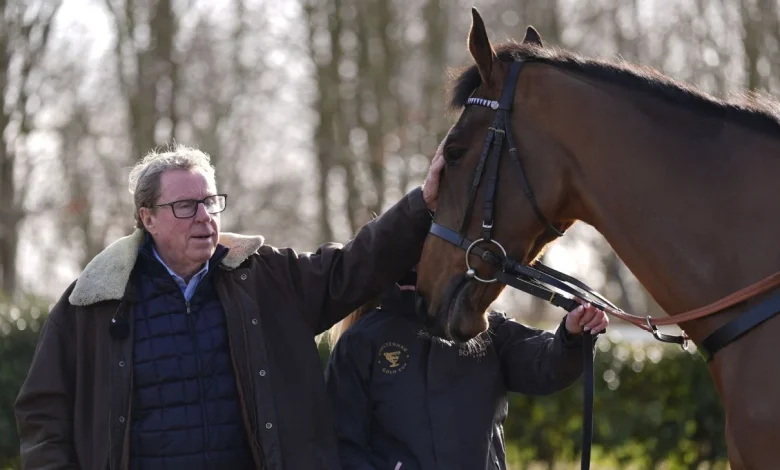 The Jukebox Man: All you need to know about Harry Redknapp's Cheltenham Gold Cup horse