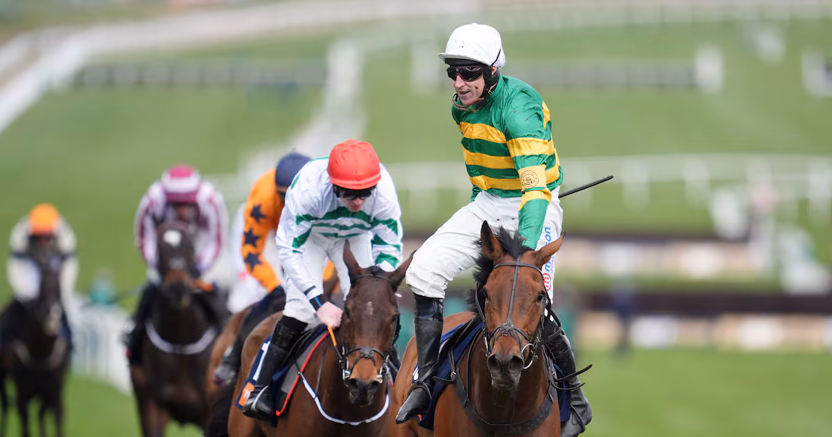 The New Lion can capitalise on Constitution Hill’s walk-on part at Cheltenham