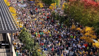 The No Kings Protests Aren’t Changing Trump. They May Be Building the Machine To Beat Him