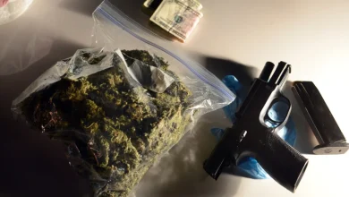 The Supreme Court appears likely to let stoners own guns, in US v. Hemani