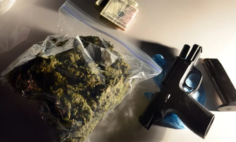 The Supreme Court appears likely to let stoners own guns, in US v. Hemani