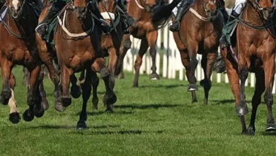 The biggest event in the horse racing calendar is less than a month away and fans can secure their tickets for the Grand National 2026. ✨ With Cheltenham Festival taking place this week, many will already be turning their attention to the next big event in the c