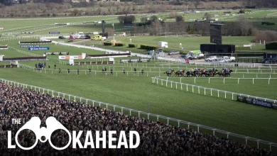 The major remaining Cheltenham Festival questions should be answered - and can this horse make history in the Imperial Cup?