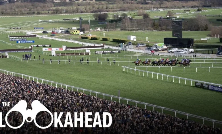 The major remaining Cheltenham Festival questions should be answered - and can this horse make history in the Imperial Cup?