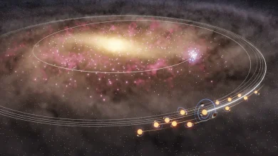 The sun and thousands of its twins migrated across the Milky Way just in time