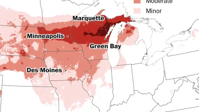 These 11 cities could see heavy snow or severe thunderstorms this weekend