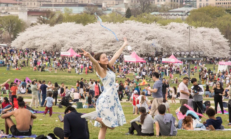 Things to do in the DC area: Mediation services in Prince George’s Co., Blossom Kite Festival … and more!