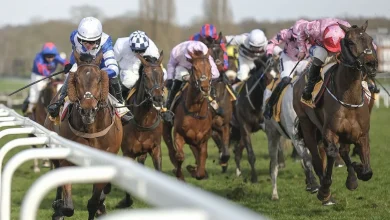 'This 14-1 shot can run well at Sandown' - The Scout's Saturday racing tips