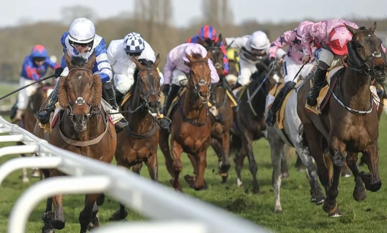 'This 14-1 shot can run well at Sandown' - The Scout's Saturday racing tips