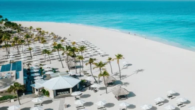 This Aruba Hotel Is the Only Hotel on Earth With Two Perfect Green Globe Scores