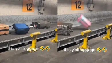 "This Is What They Do": Viral Video Shows How Airport Staff Handle Luggage