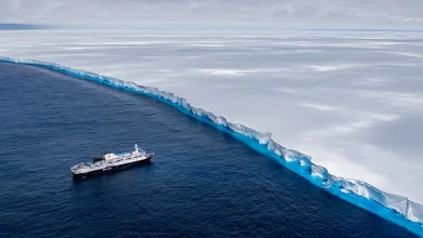 This iceberg was once the biggest in the world. Now it has just weeks left