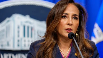 This week at Democracy Docket: MAGA melts down over SAVE — and DOJ struggles with the email address field