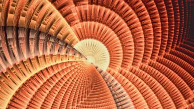 This week on "Sunday Morning" (March 22)