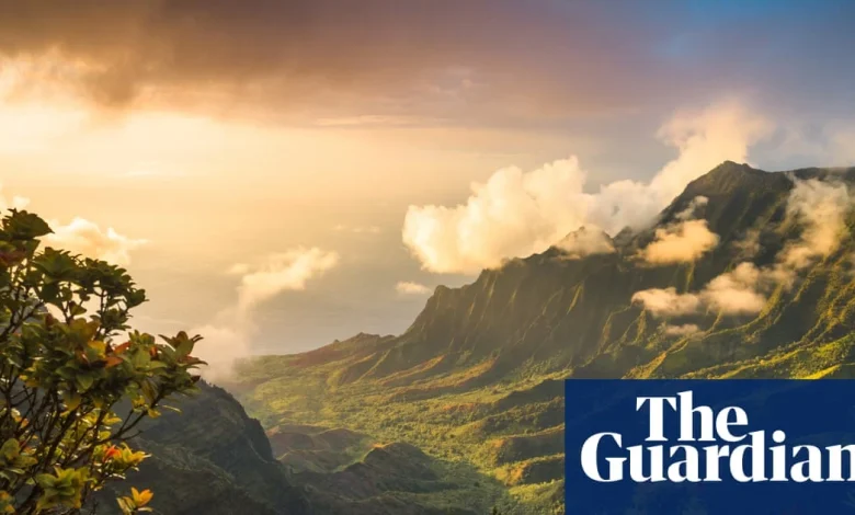 Three killed as tourist helicopter crashes on Hawaiian island of Kauai | Hawaii