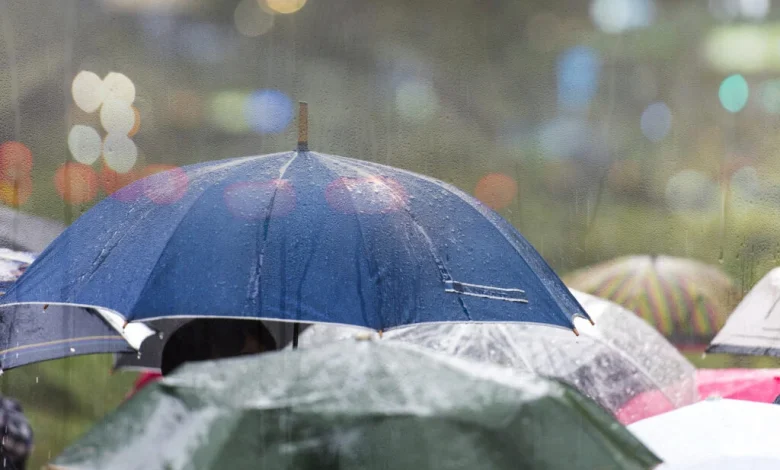 Thunderstorms and soaking rain set to sweep Toronto and the GTA