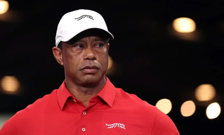 Tiger Woods Mugshot Released By Police After DUI Arrest; Golfer Out Of Jail