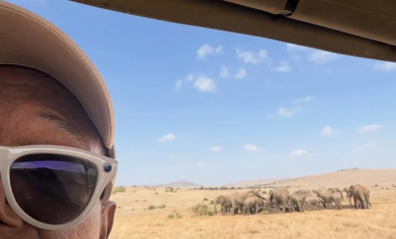 “Time is running out!” Samuel L. Jackson Urges Tulsa Zoo to Release LA Elephants Billy & Tina to Sanctuary