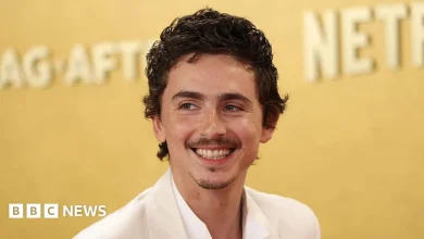 Timothée Chalamet: Artists react to Oscar hopeful's ballet and opera remarks