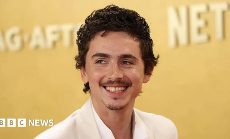 Timothée Chalamet: Artists react to Oscar hopeful's ballet and opera remarks