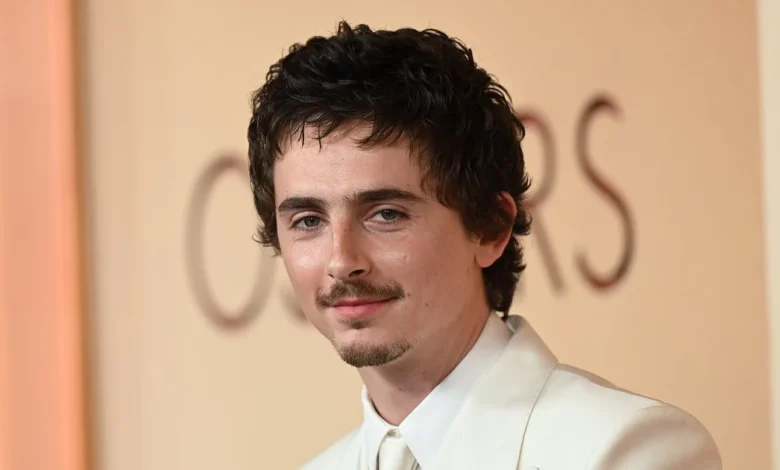 Timothée Chalamet Divides Fans With 2026 Oscars Look