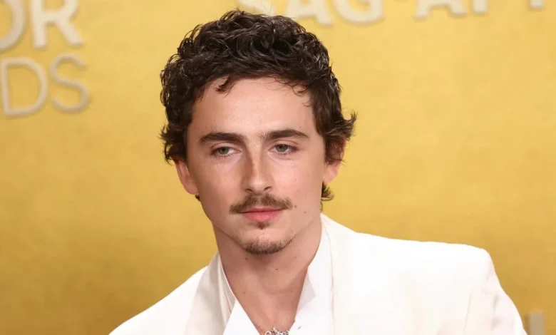 Timothée Chalamet Faces Backlash For Saying "No One Cares" About Ballet, Opera