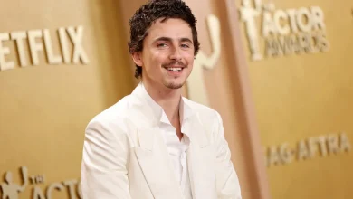 Timothée Chalamet Faces Backlash From Opera Community