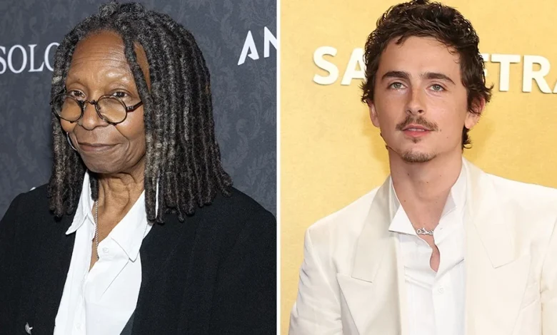 Timothee Chalamet Slammed as 'Shallow' on The View After Dissing Opera