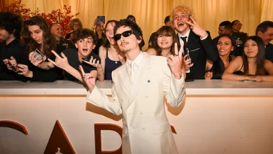 Timothée Chalamet Take a Break Until Dune 3 Arrives