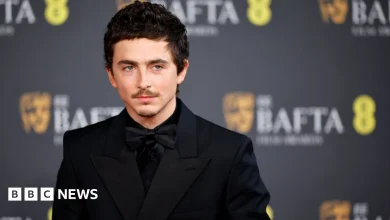 Timothée Chalamet triggers backlash over ballet and opera remarks