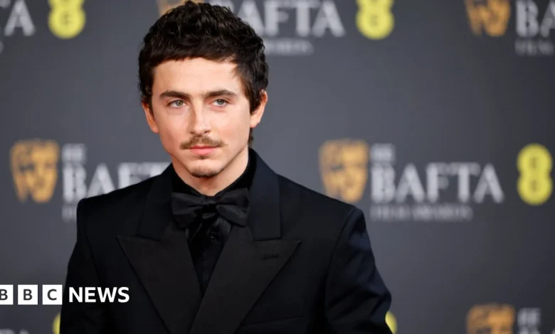 Timothée Chalamet triggers backlash over ballet and opera remarks