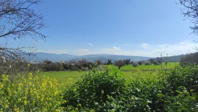 Today’s weather: Clear skies and mild temperatures