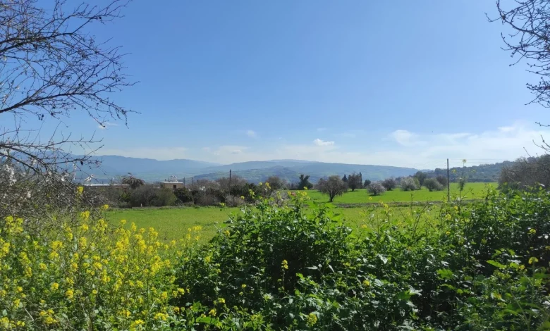 Today’s weather: Clear skies and mild temperatures