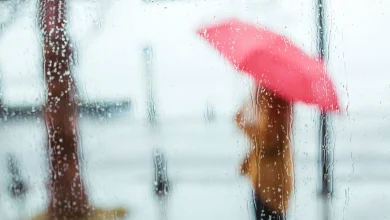 Tomorrow's Weather Toronto (Mar 12): Cold, Windy with Scattered Showers