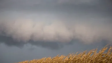 Tornadoes possible for central Illinois along with hail, strong winds